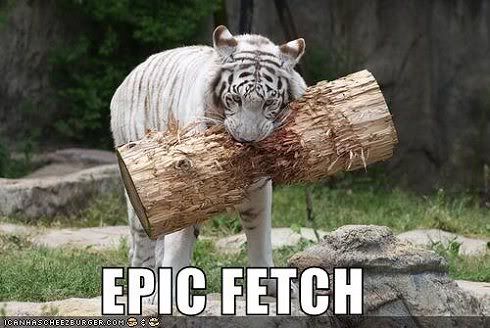 EpicFetch.jpg picture by Im-not-normal