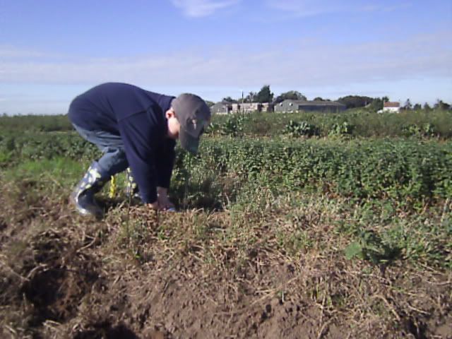 worksept2011023.jpg