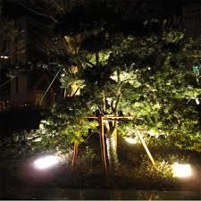 photo floodlightapp1_zps08cad961.jpg