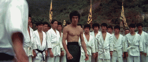 Bruce Lee gif photo: OPERACAO DRAGAO GIF_zpsee9a160b.gif