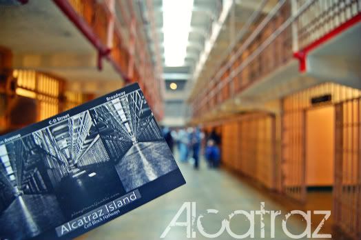 Alcatraz Postcard