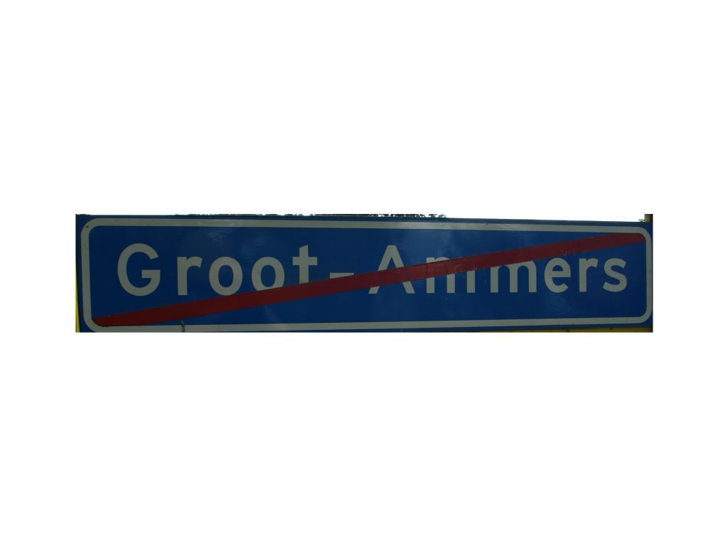 grtammback.jpg