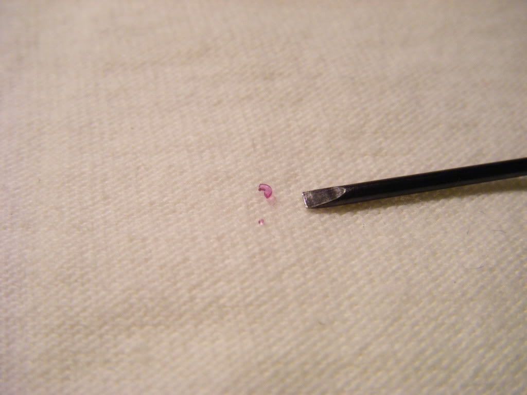 DSCF5627.jpg