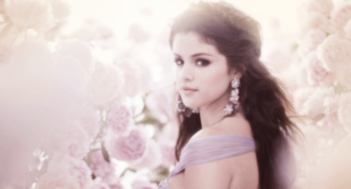  photo 41_zps785d7c4c.png