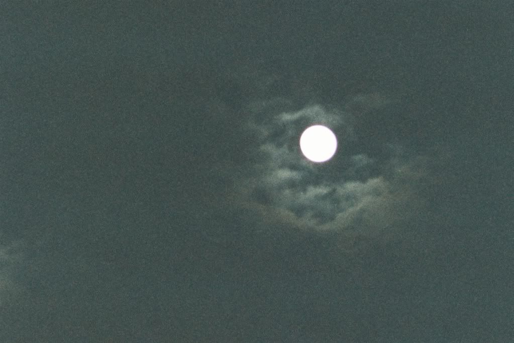 045477-R1-17-5A.jpg