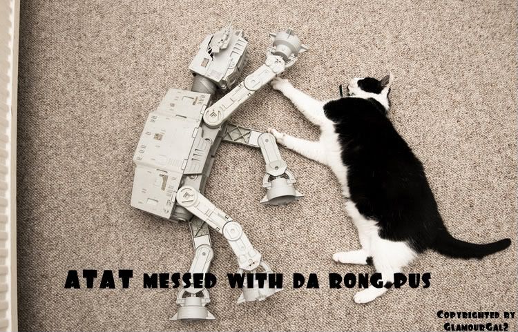 cat-fighting-starwars-machine.jpg