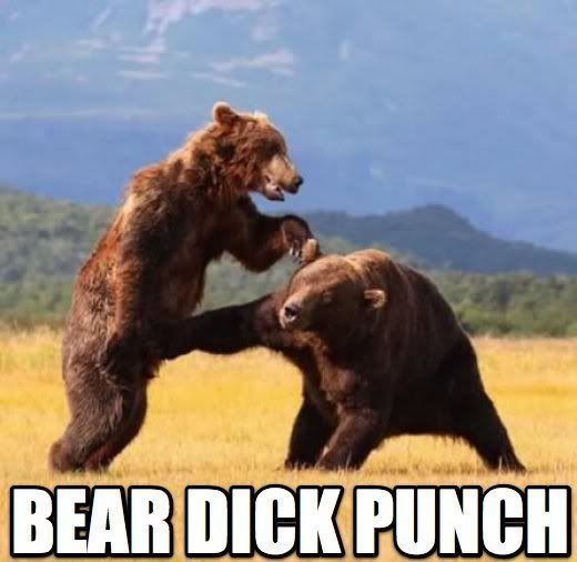 Forum Image: http://i989.photobucket.com/albums/af18/asleepynikkibear/b24cede4852b3372294775a682a11975.jpg