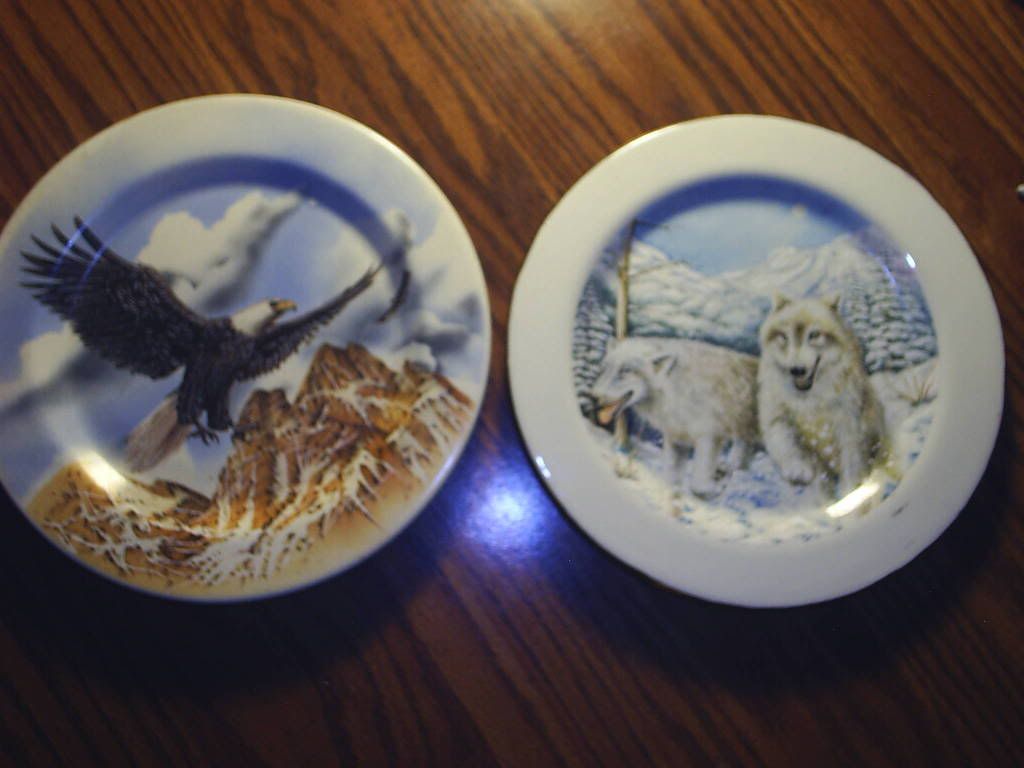 Bald Eagle and White Wolf Display Plates, NEW