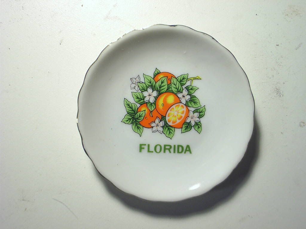 Small Florida Decorative Plate