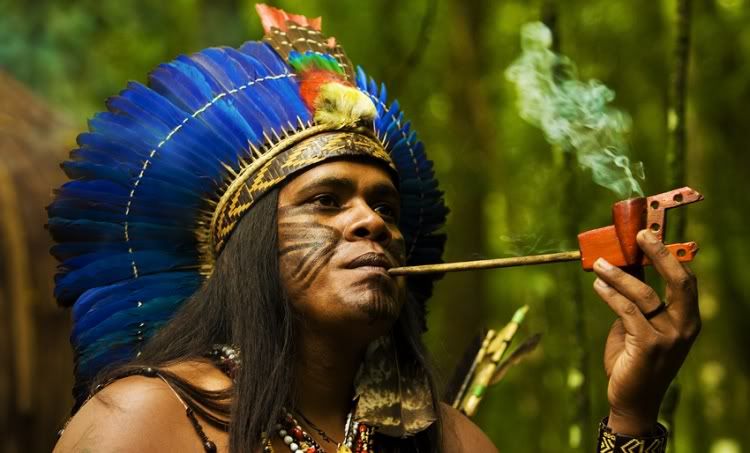 Tupinamba Tribe Culture