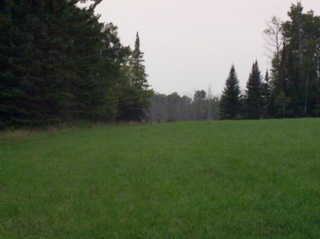 Pictures around your Homestead - Homesteading Questions