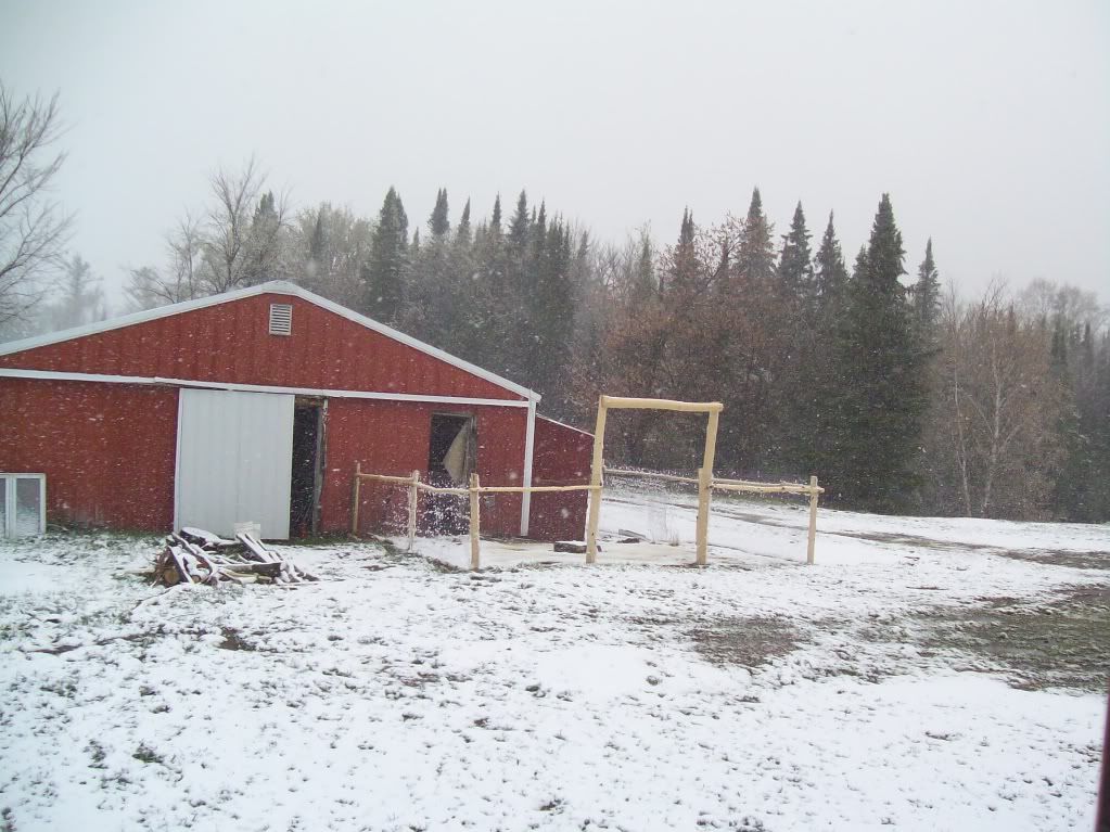 Spring Pic - Countryside Families