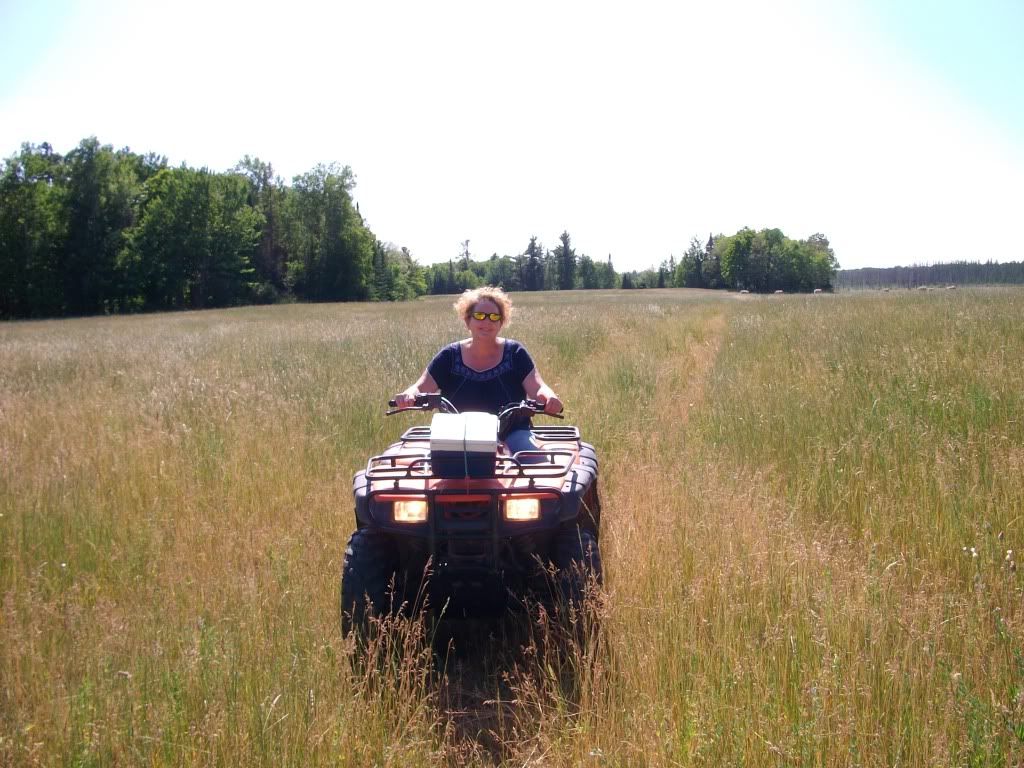 Pictures around your Homestead - Homesteading Questions