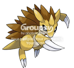 User Image