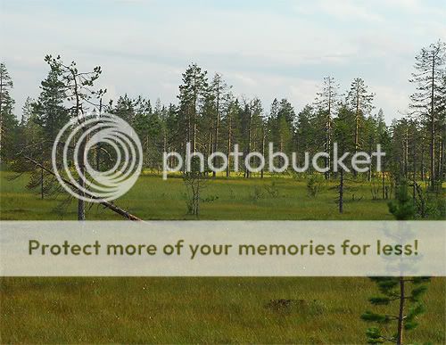 https://i989.photobucket.com/albums/af17/thehuntergame/Status%20Updates/nature_2.jpg